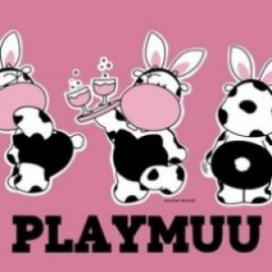 Playmuu