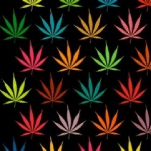 Weeds