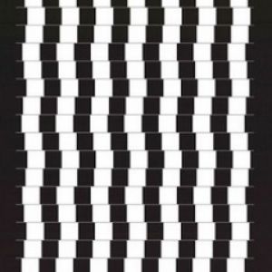 Optical Illussion