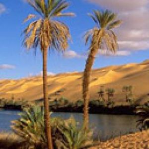 Libia