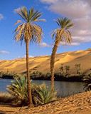 Libia