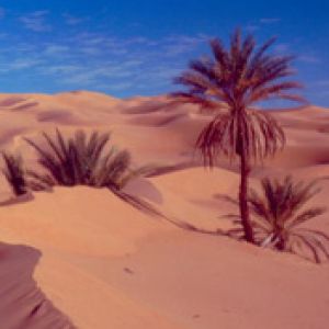 Libia