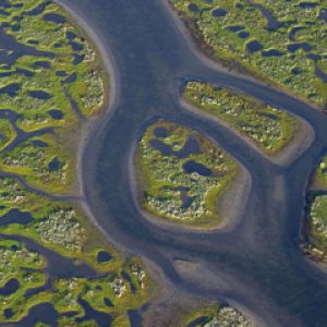 Aerial View of the Sea Shore - Sweden