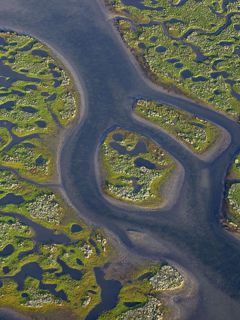 Aerial View of the Sea Shore - Sweden