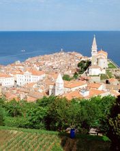 Piran - Slovenia
