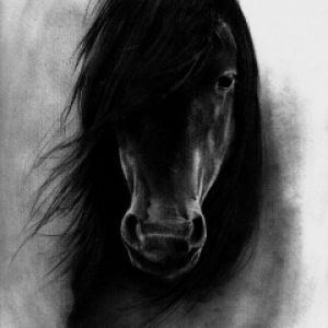 Balck Horse