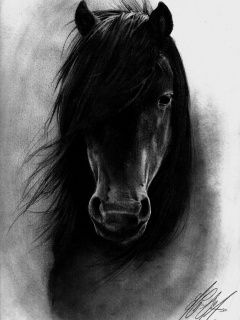 Balck Horse