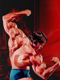 Arnold Schwarzenegger