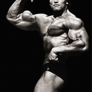 Arnold Schwarzenegger