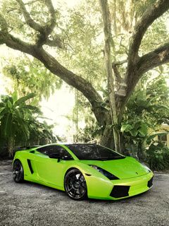 Gallardo