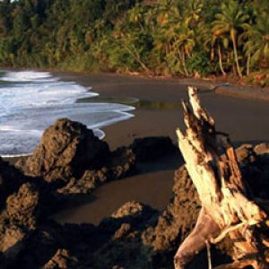 Corcovado - Costa Rica