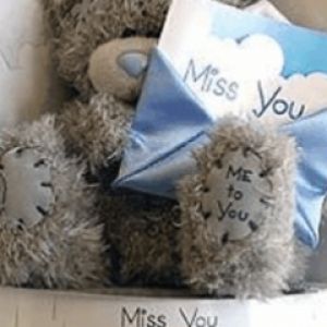Miss You - Me to You
