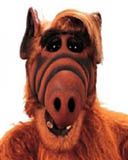 ALF