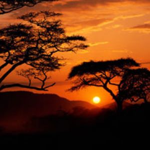 Serengeti National Park Sunset - Tanzania