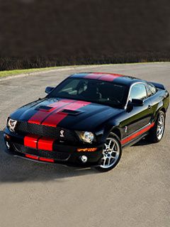 Mustang