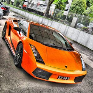 Gallardo