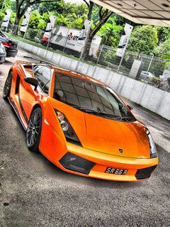 Gallardo