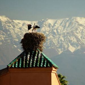 Marrakech Atlas Large