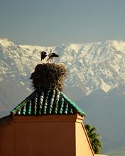 Marrakech Atlas Large