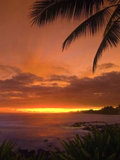 Tropical Sunset