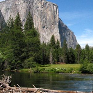 Yosemite Valley Spring