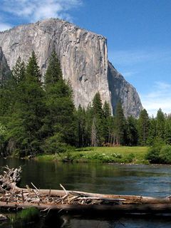 Yosemite Valley Spring