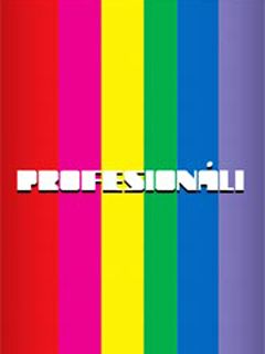 ProfesionĂˇli
