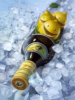 Fernet Citrus