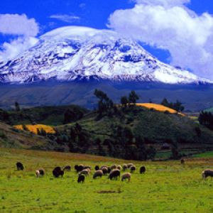Ecuador - Chimborazo
