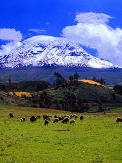 Ecuador - Chimborazo