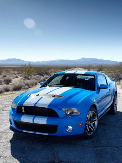 Shelby Mustang GT 500