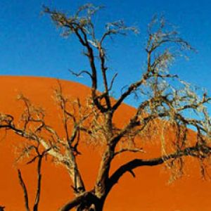 Namibia Dune