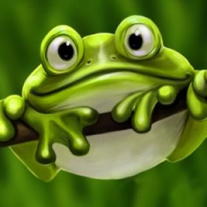 Cute Frog