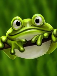 Cute Frog