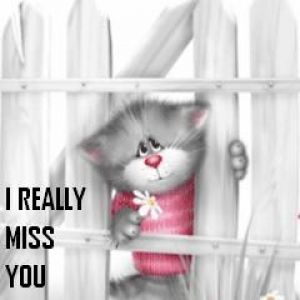 I really miss you