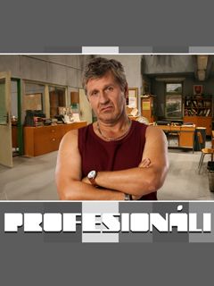 ProfesionĂˇli