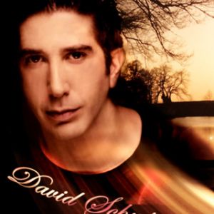 David Schwimmer 