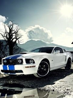 Mustang GT