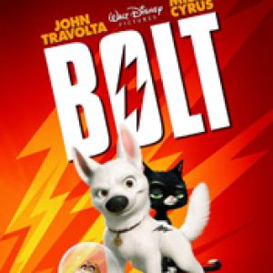 Bolt