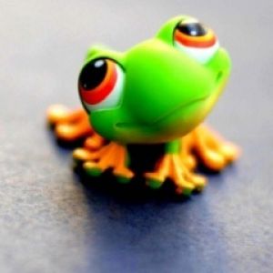 Frog