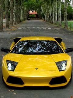 Lamborghini