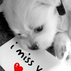 i miss you