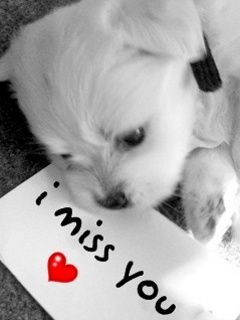i miss you