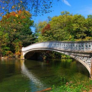 Central Park Bridge