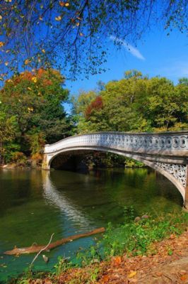 Central Park Bridge