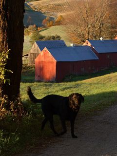 Vermont