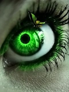 Eye