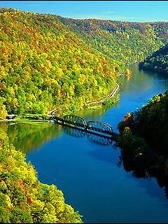 Virginia Hawksnest