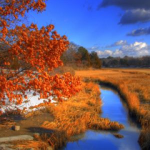 Hammonasset Beach