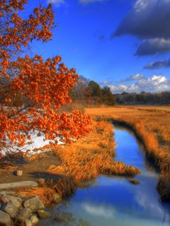 Hammonasset Beach